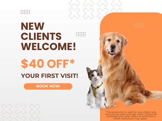 NCP 40 New clients welcome 40-off