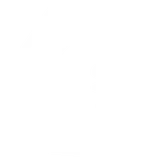 Pet Surgery Icon